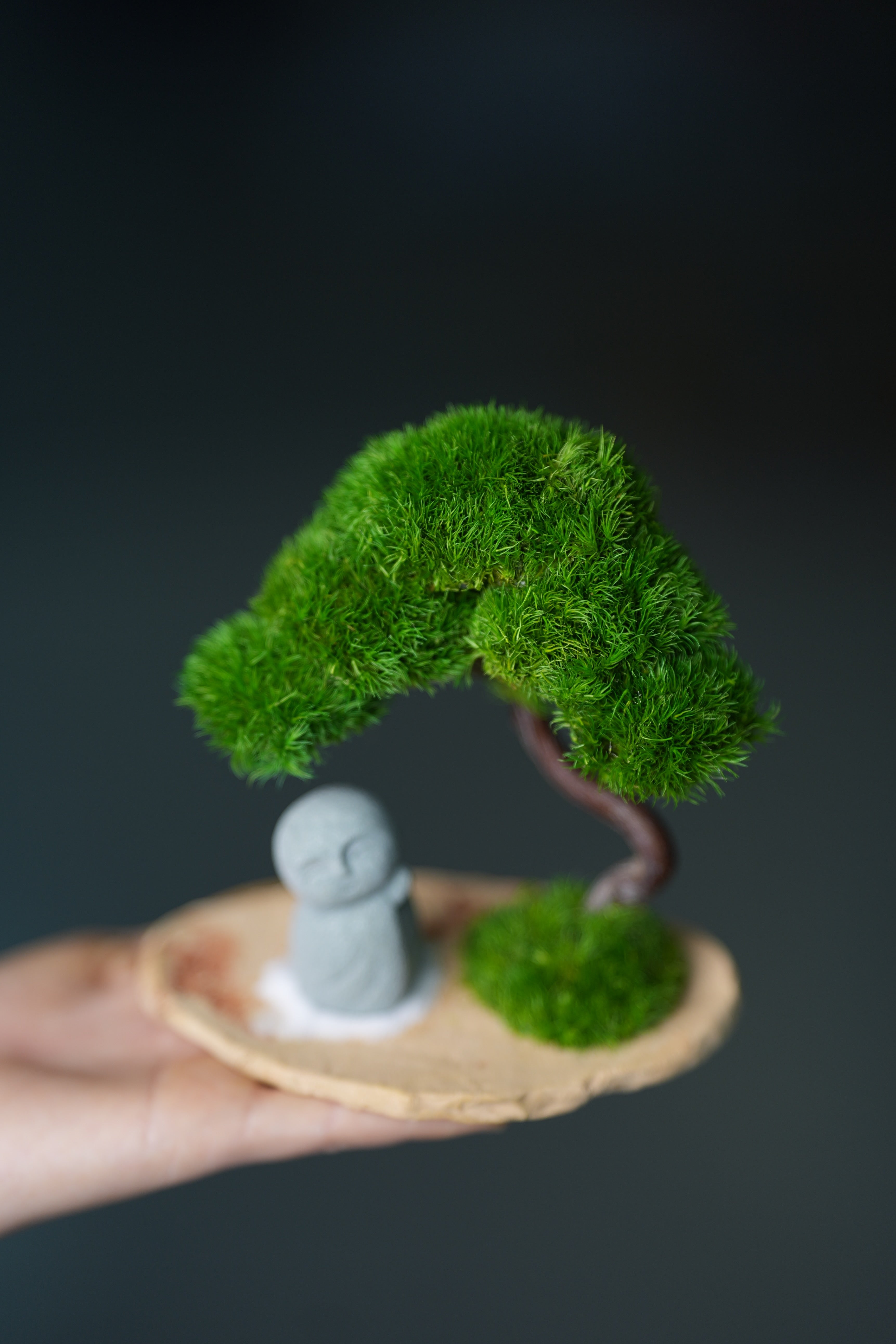 A Small Tree in the East - Classic - Journeyman (Preserved Plants)