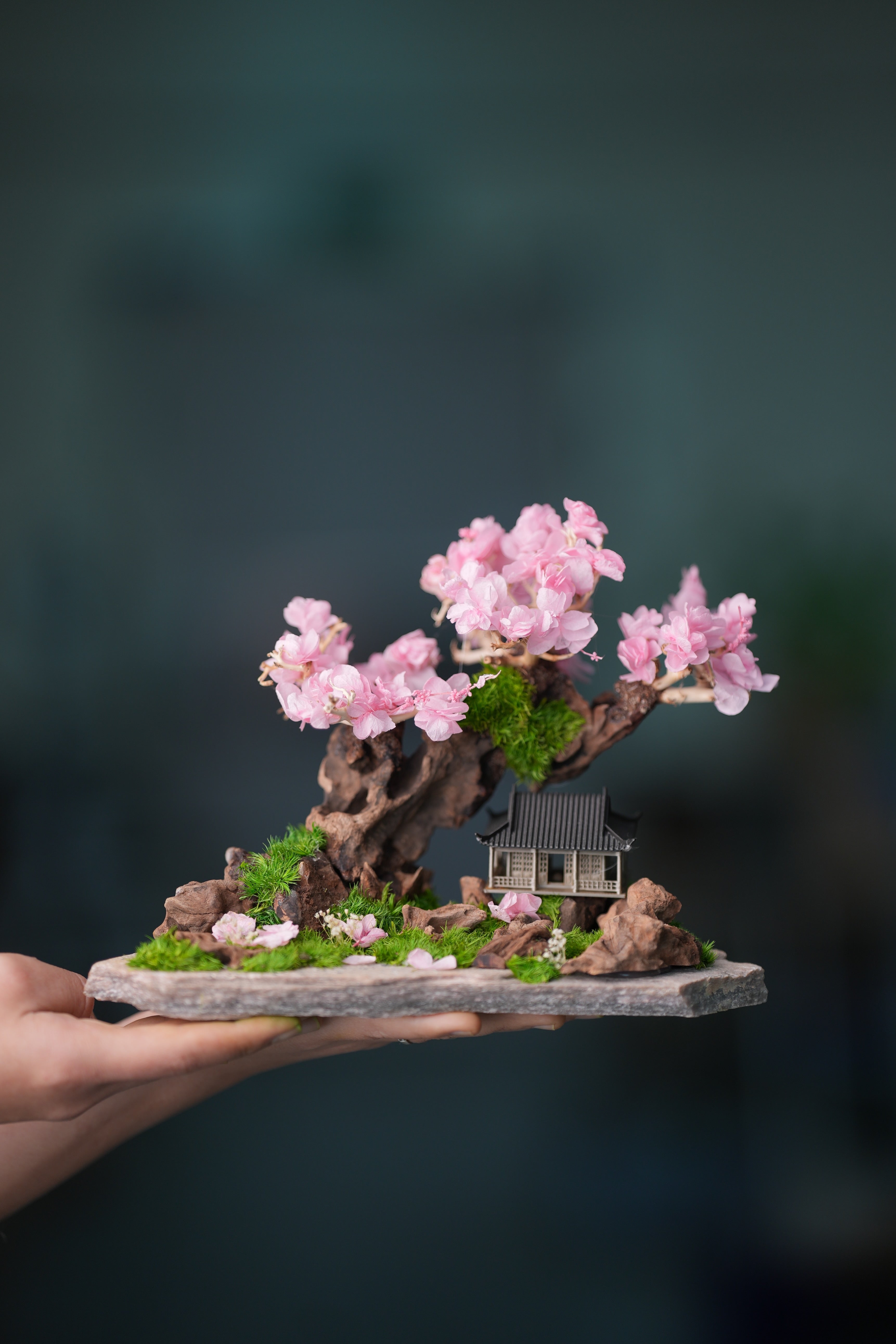 Blackwood Cliff - A Path in the East - Sakura of Spring (Preserved Plants)
