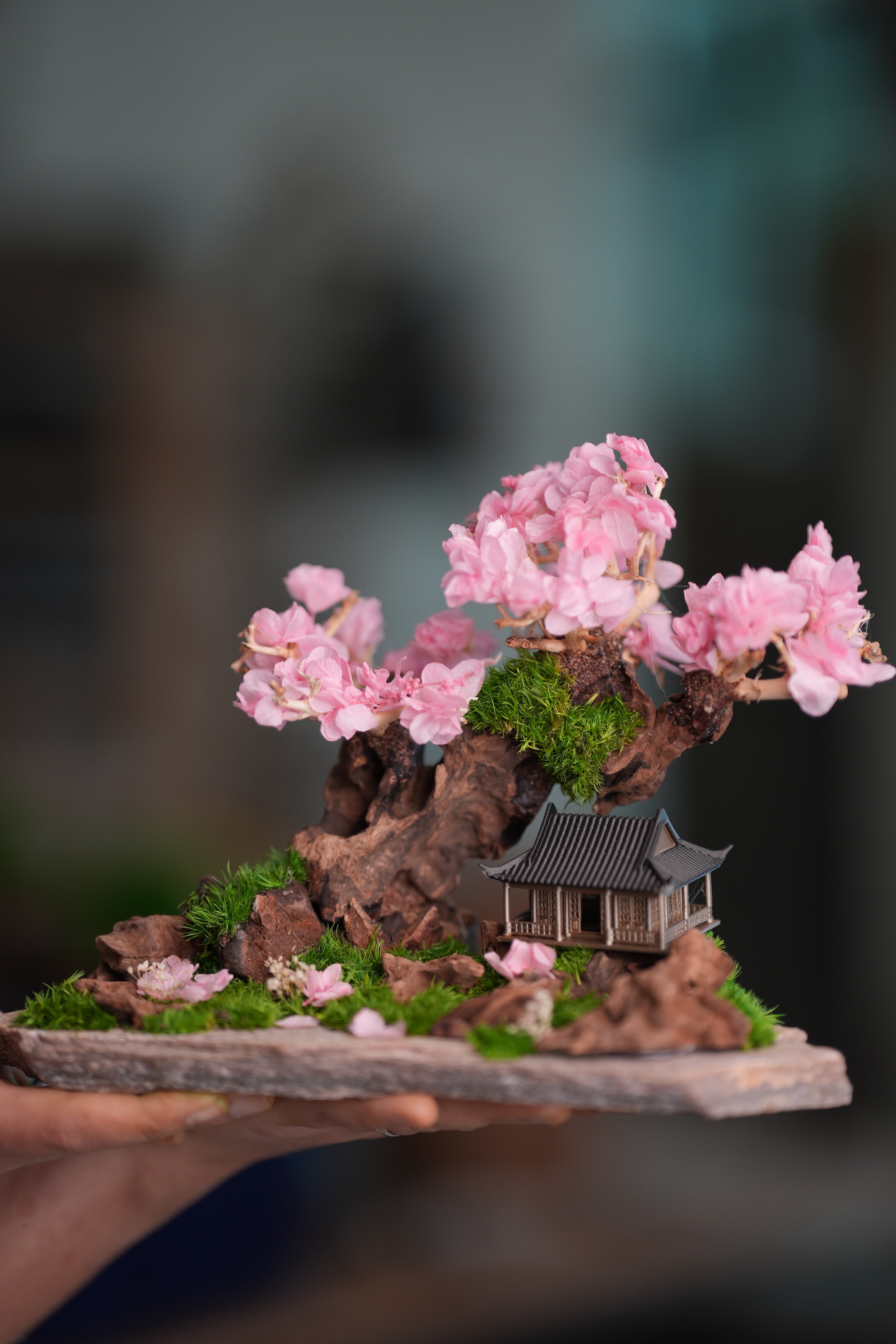 Blackwood Cliff - A Path in the East - Sakura of Spring (Preserved Plants)