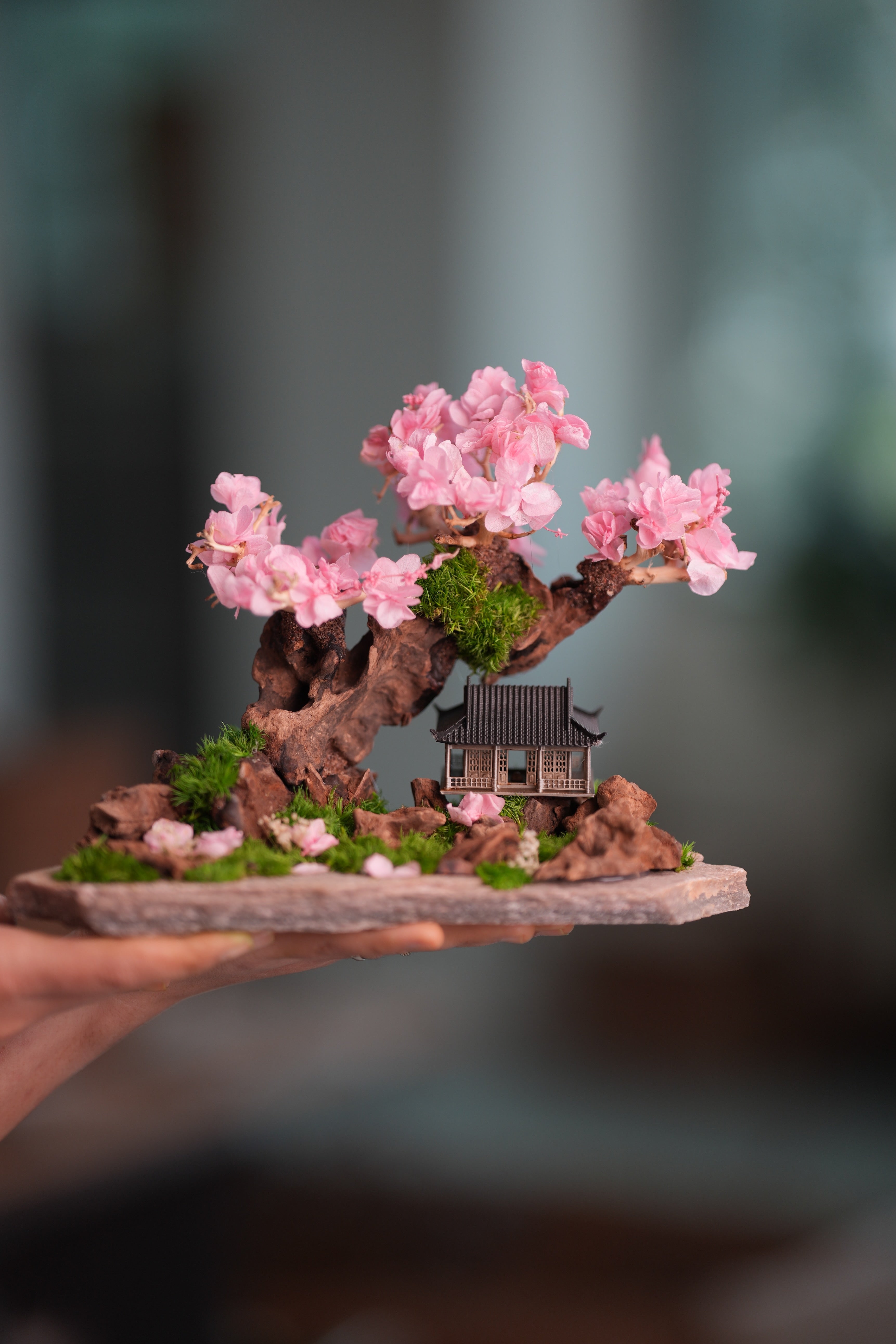 Blackwood Cliff - A Path in the East - Sakura of Spring (Preserved Plants)