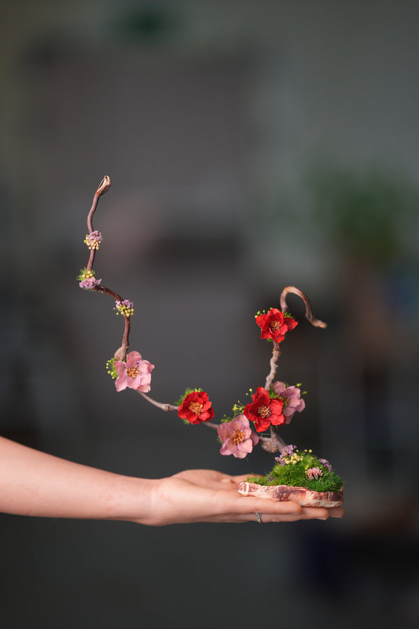 Children of the Forest - Tender Water (Preserved Plants)