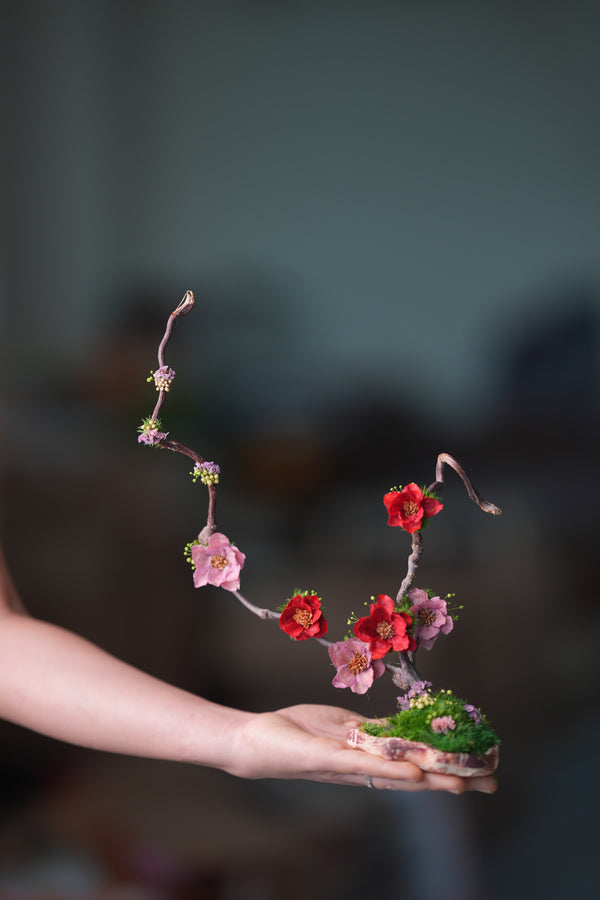 Children of the Forest - Tender Water (Preserved Plants)