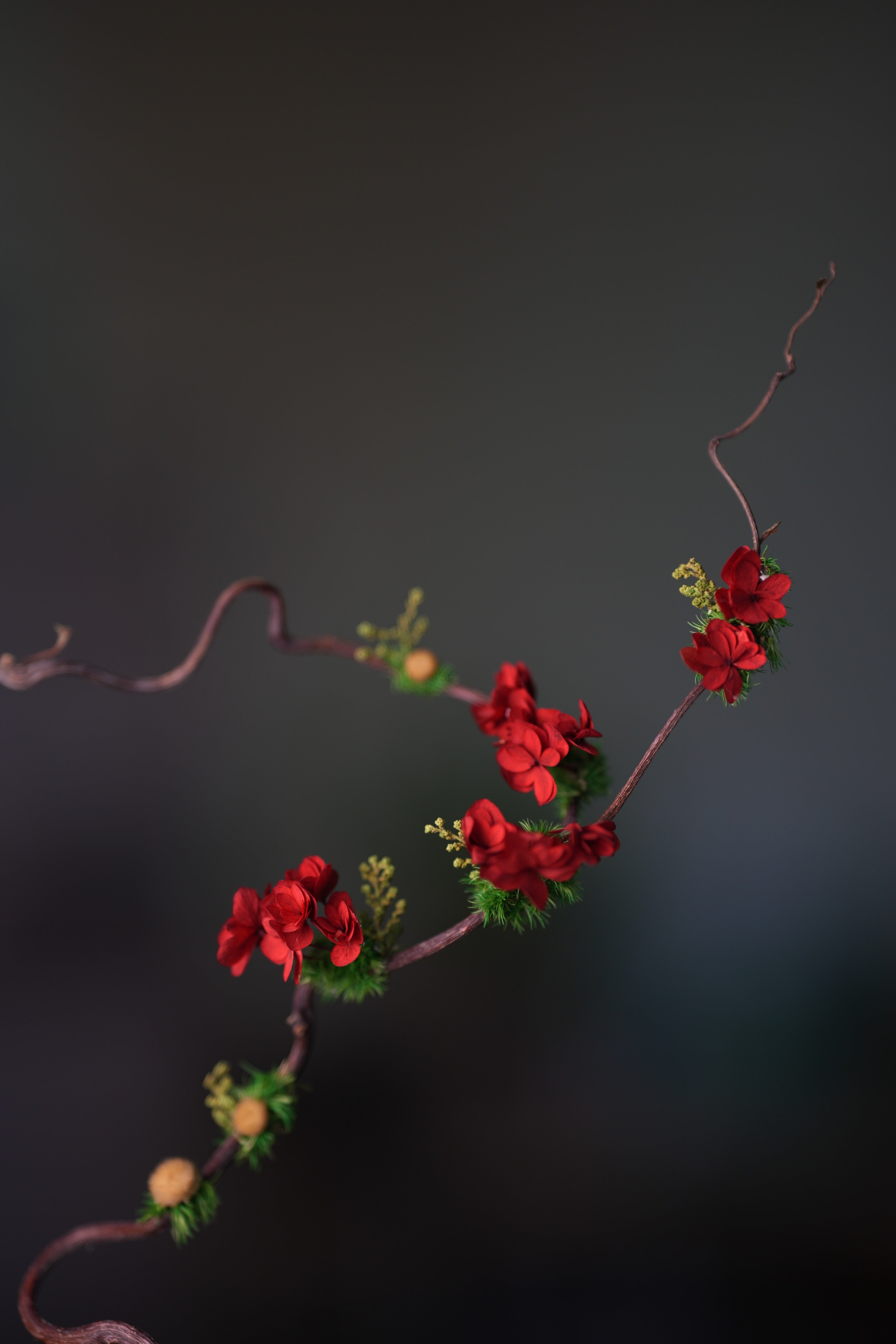 Children of the Forest - The Journey edition (Preserved Plants)