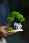 A Small Tree in the East - Classic - Trio of No Evil (Preserved Plants)