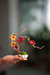 Children of the Forest - Vibrant - Smaller version (Preserved Plants)