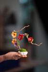 Children of the Forest - Vibrant - Smaller version (Preserved Plants)