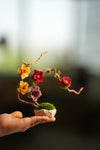 Children of the Forest - Vibrant - Smaller version (Preserved Plants)
