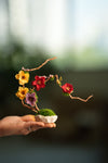 Children of the Forest - Vibrant - Smaller version (Preserved Plants)