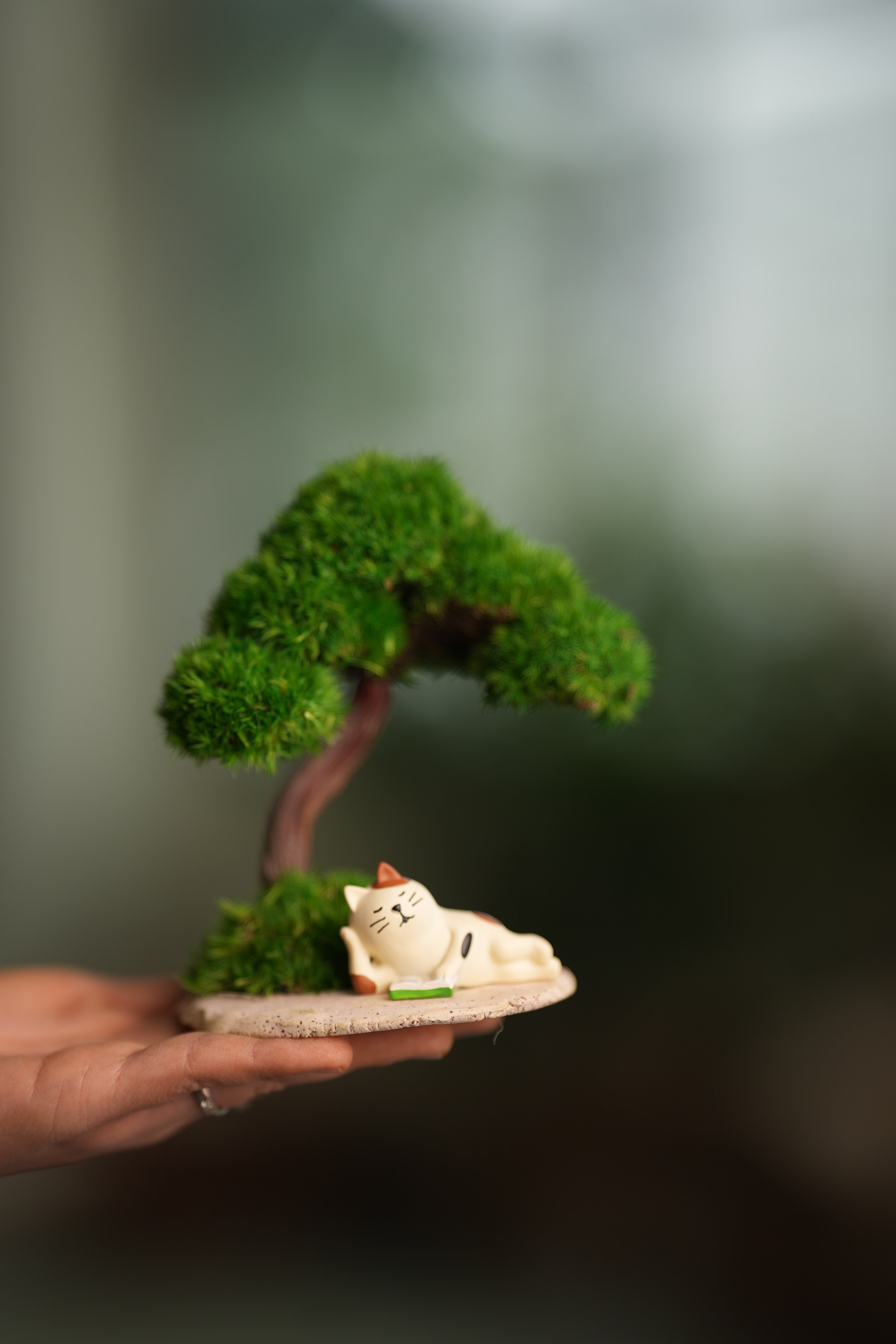 A Small Tree in the East - Morning in the Park (Preserved Plants)