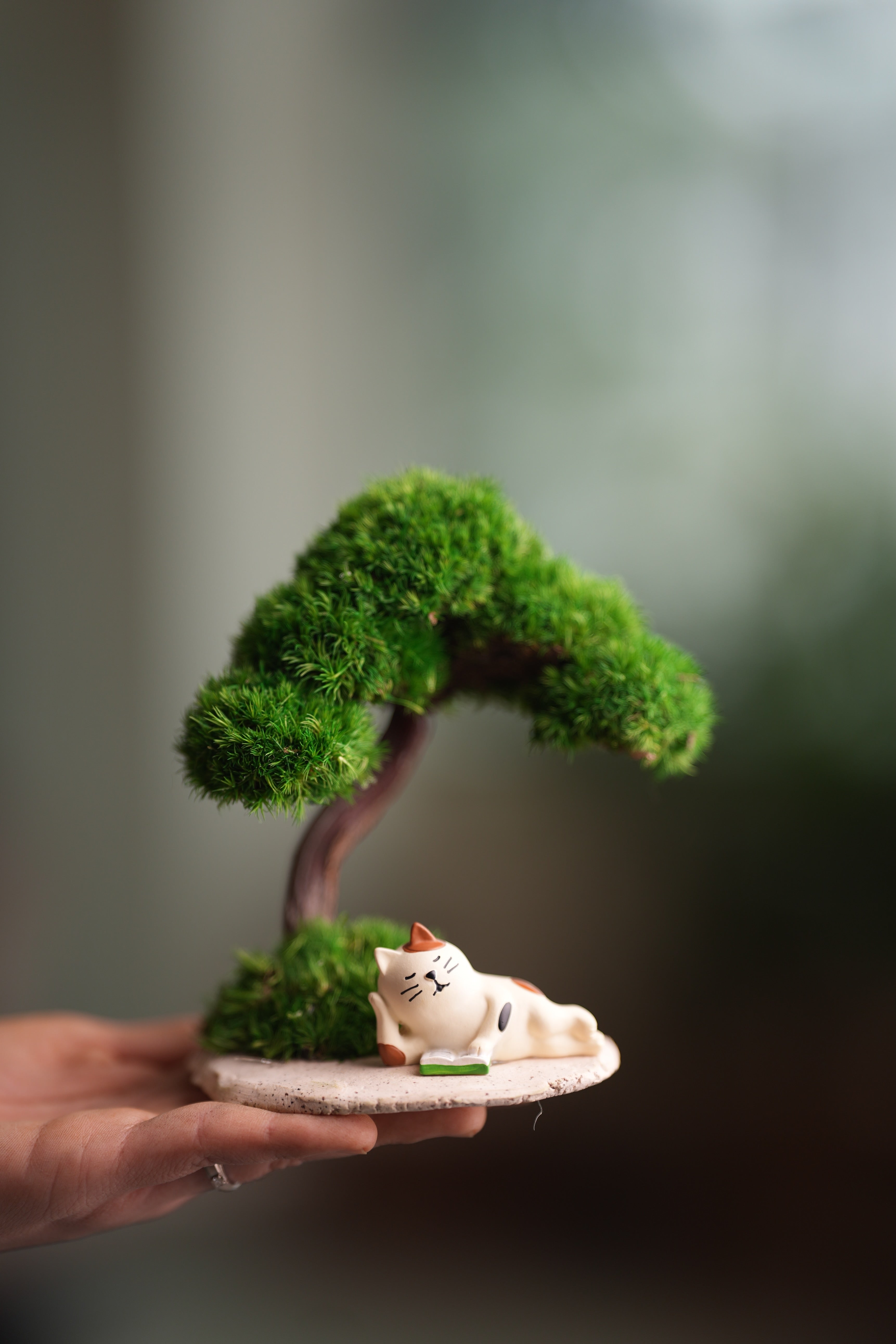 A Small Tree in the East - Morning in the Park (Preserved Plants)