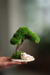 A Small Tree in the East - Morning in the Park (Preserved Plants)