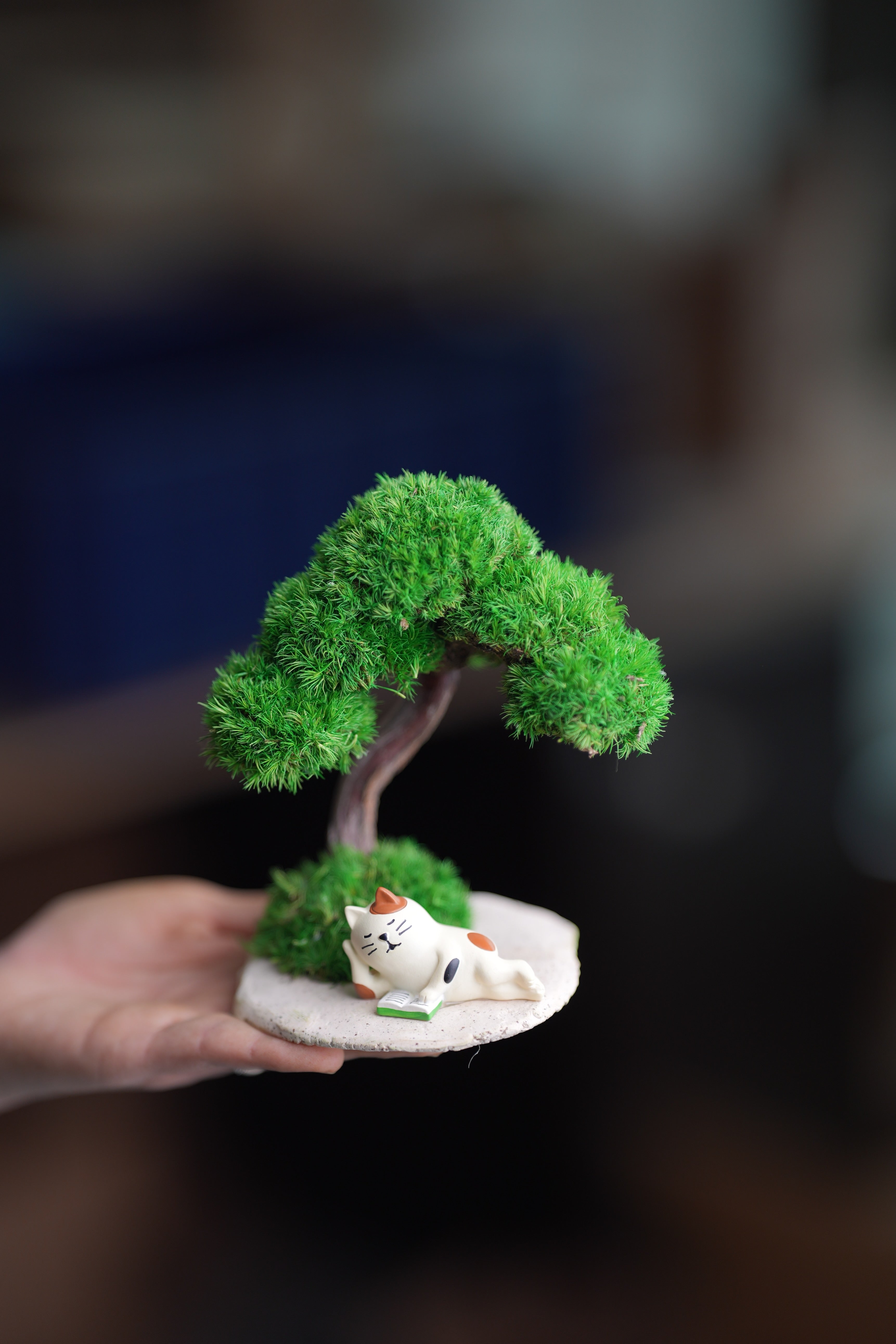 A Small Tree in the East - Morning in the Park (Preserved Plants)