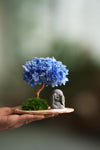 A Small Tree in the East - Purple Dream - Journeyman (Preserved Plants)