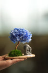 A Small Tree in the East - Purple Dream - Journeyman (Preserved Plants)