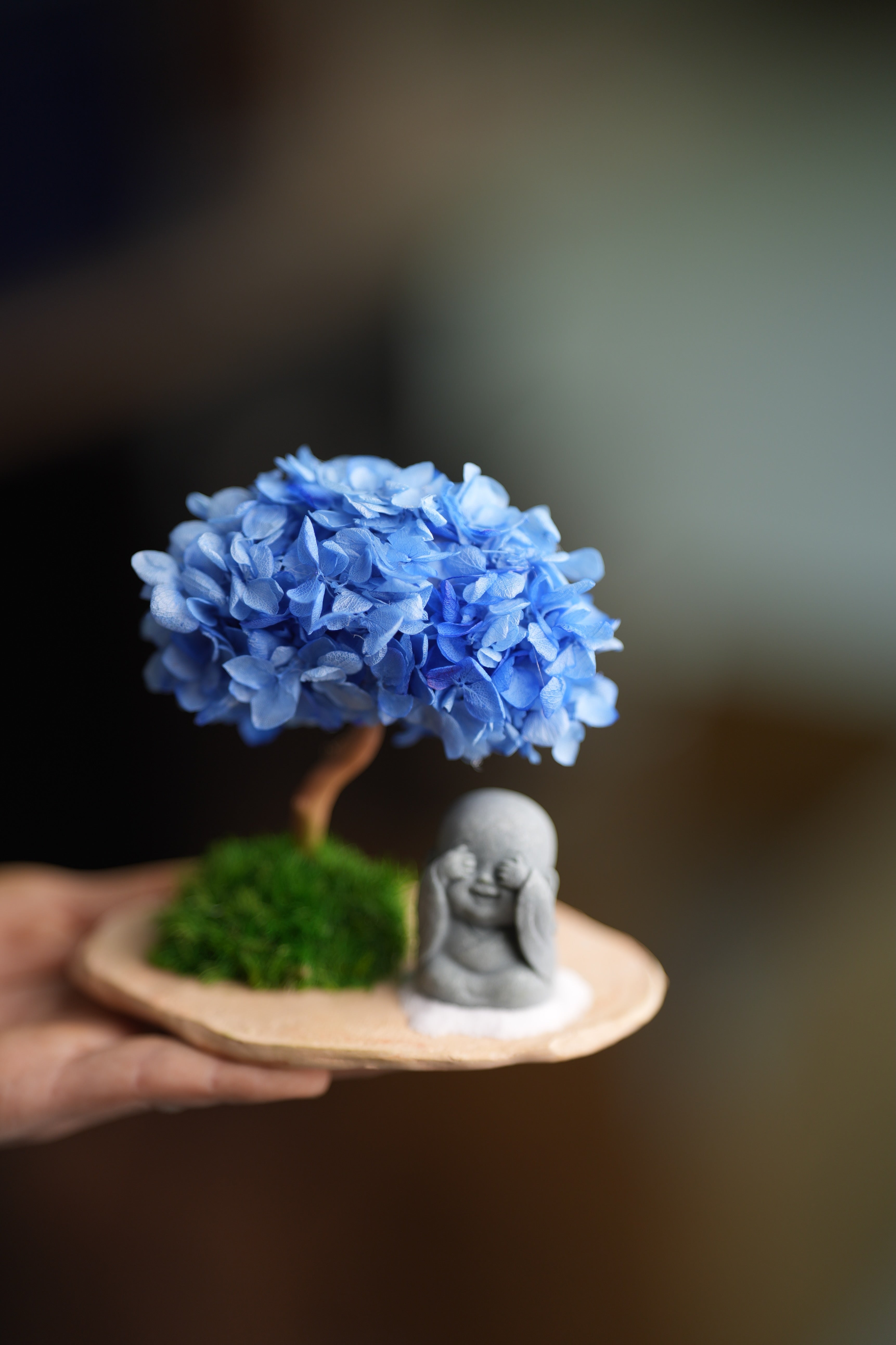 A Small Tree in the East - Purple Dream - Journeyman (Preserved Plants)