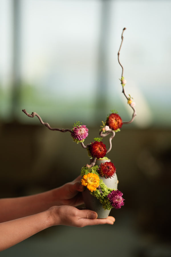 Children of the Forest - Sunny (Preserved Plants)