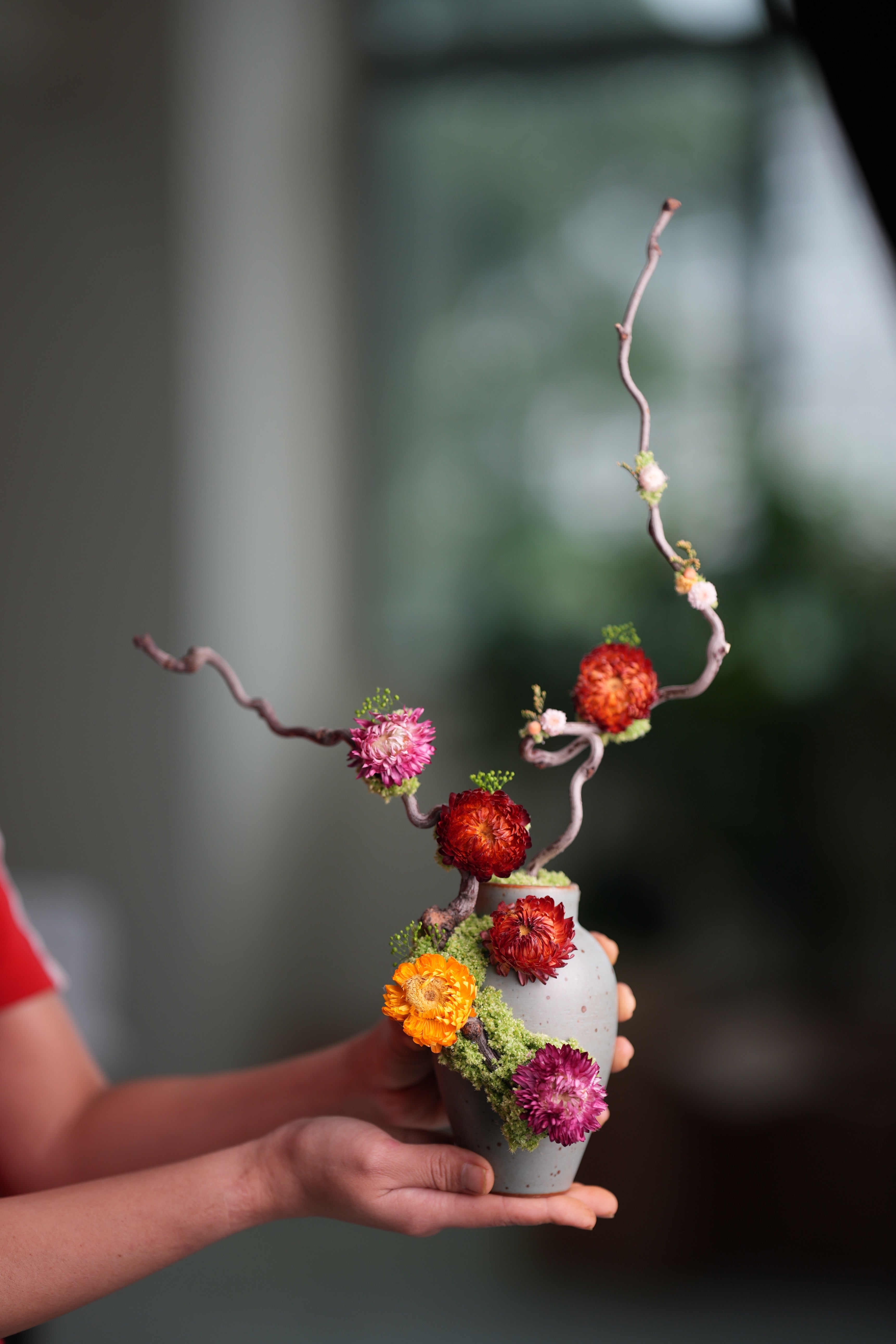 Children of the Forest - Sunny (Preserved Plants)