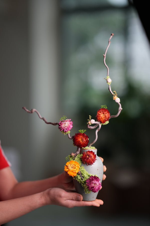 Children of the Forest - Sunny (Preserved Plants)