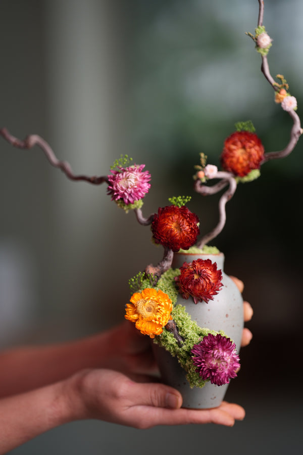 Children of the Forest - Sunny (Preserved Plants)