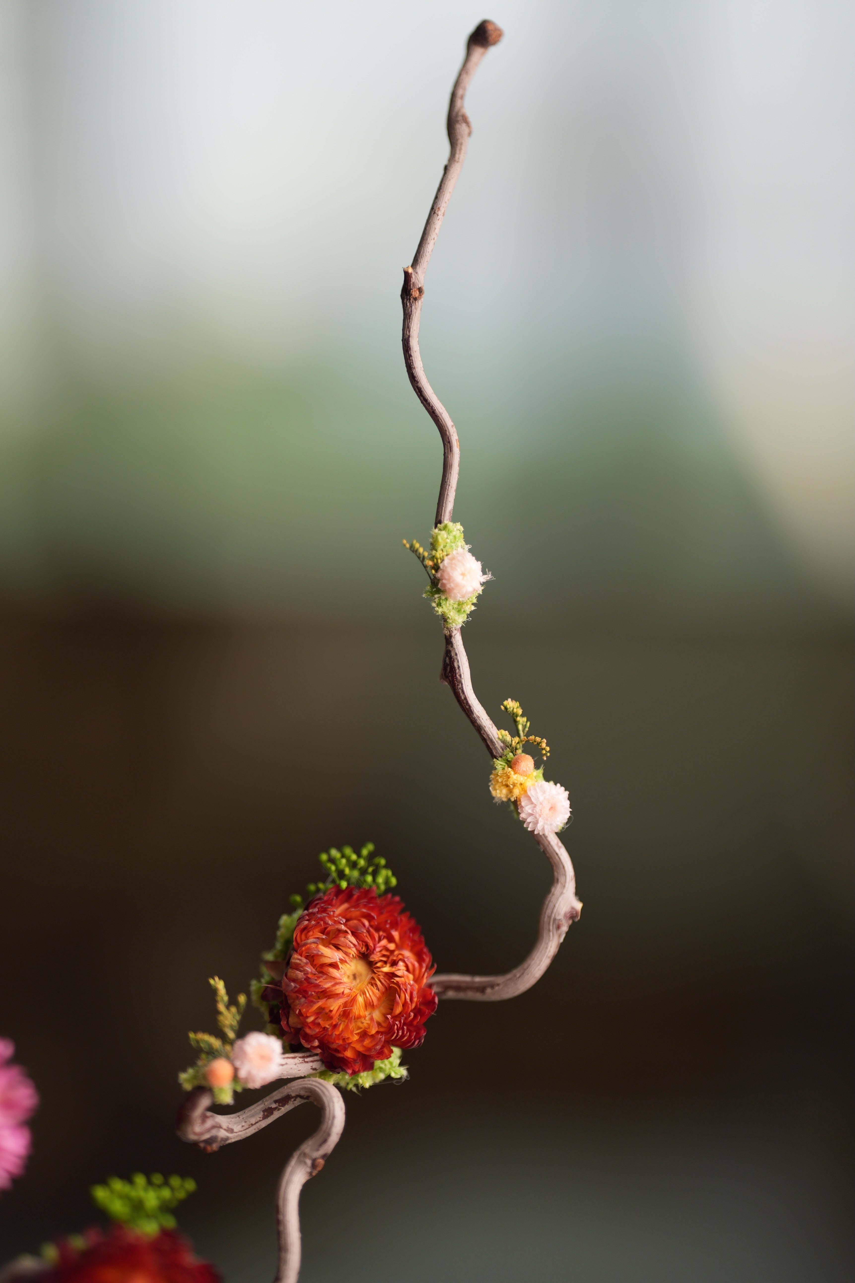 Children of the Forest - Sunny (Preserved Plants)