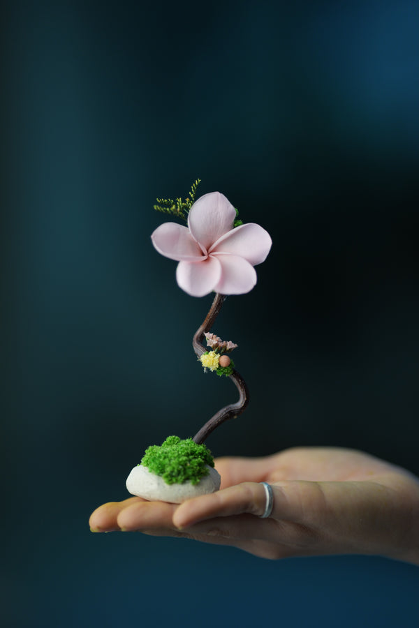 Children of the Forest - Kindling - Plumeria (Preserved Plants)