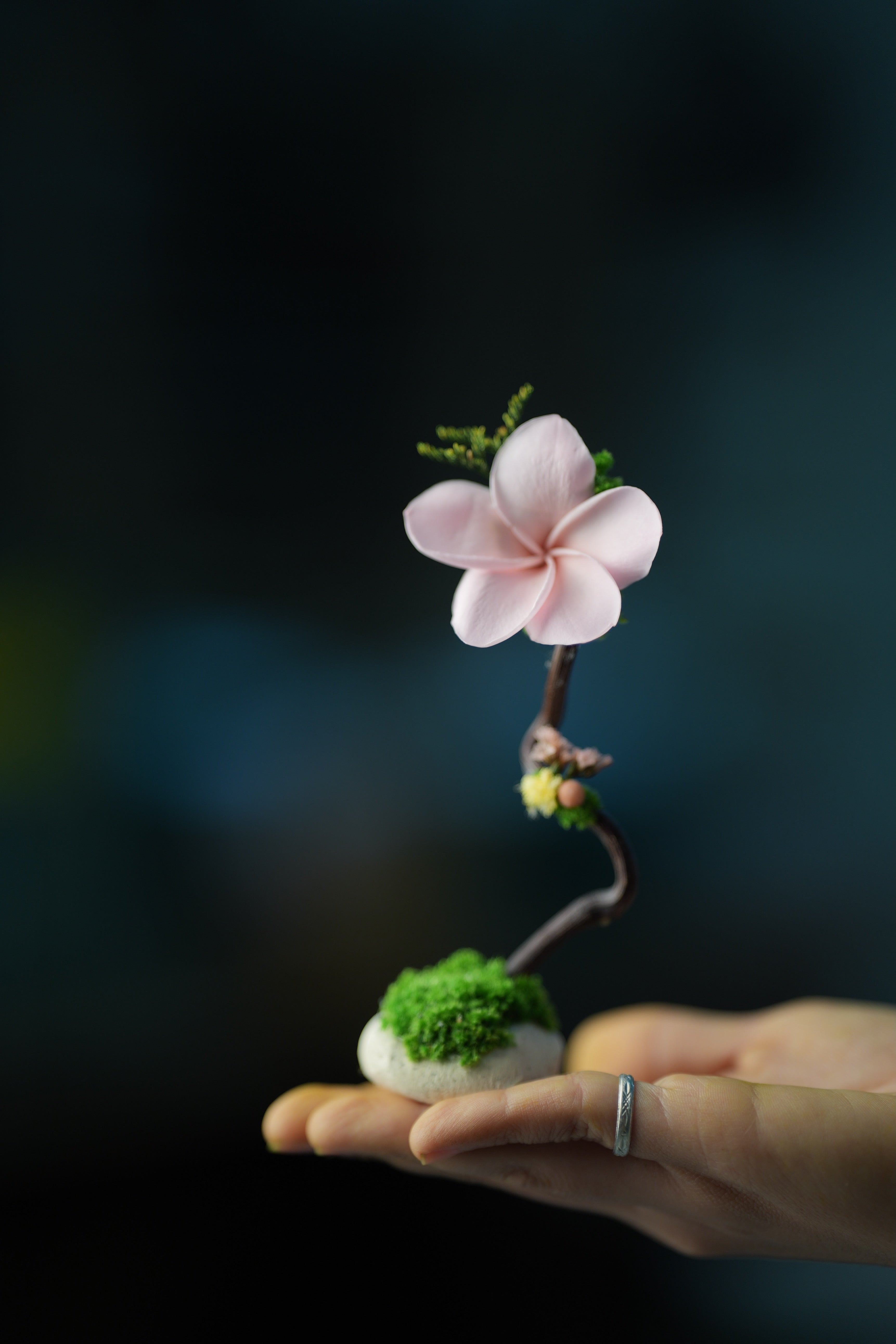 Children of the Forest - Kindling - Plumeria (Preserved Plants)