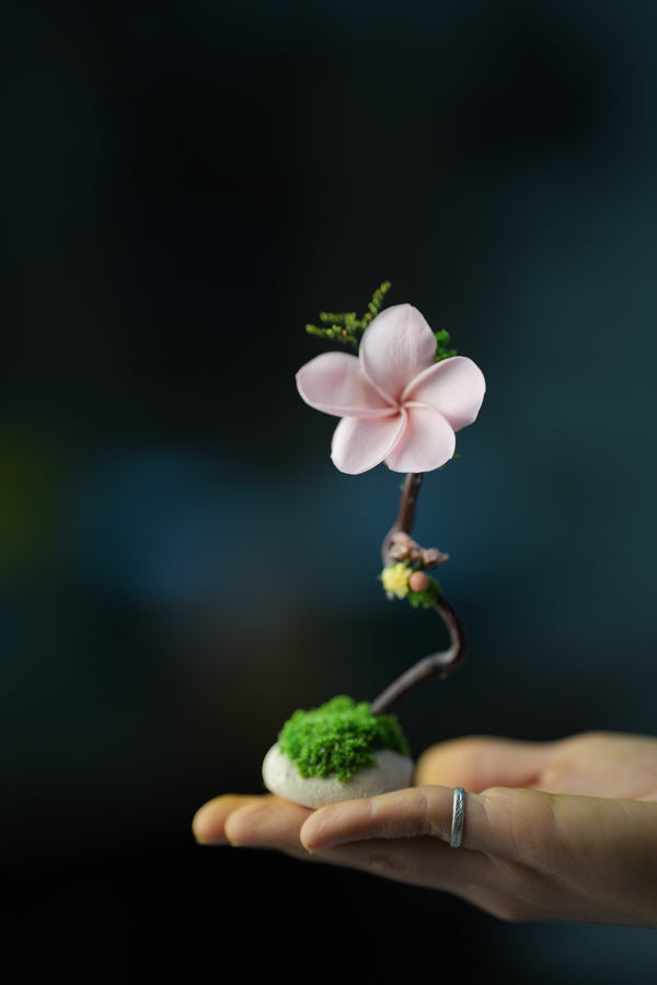 Children of the Forest - Kindling - Plumeria (Preserved Plants)