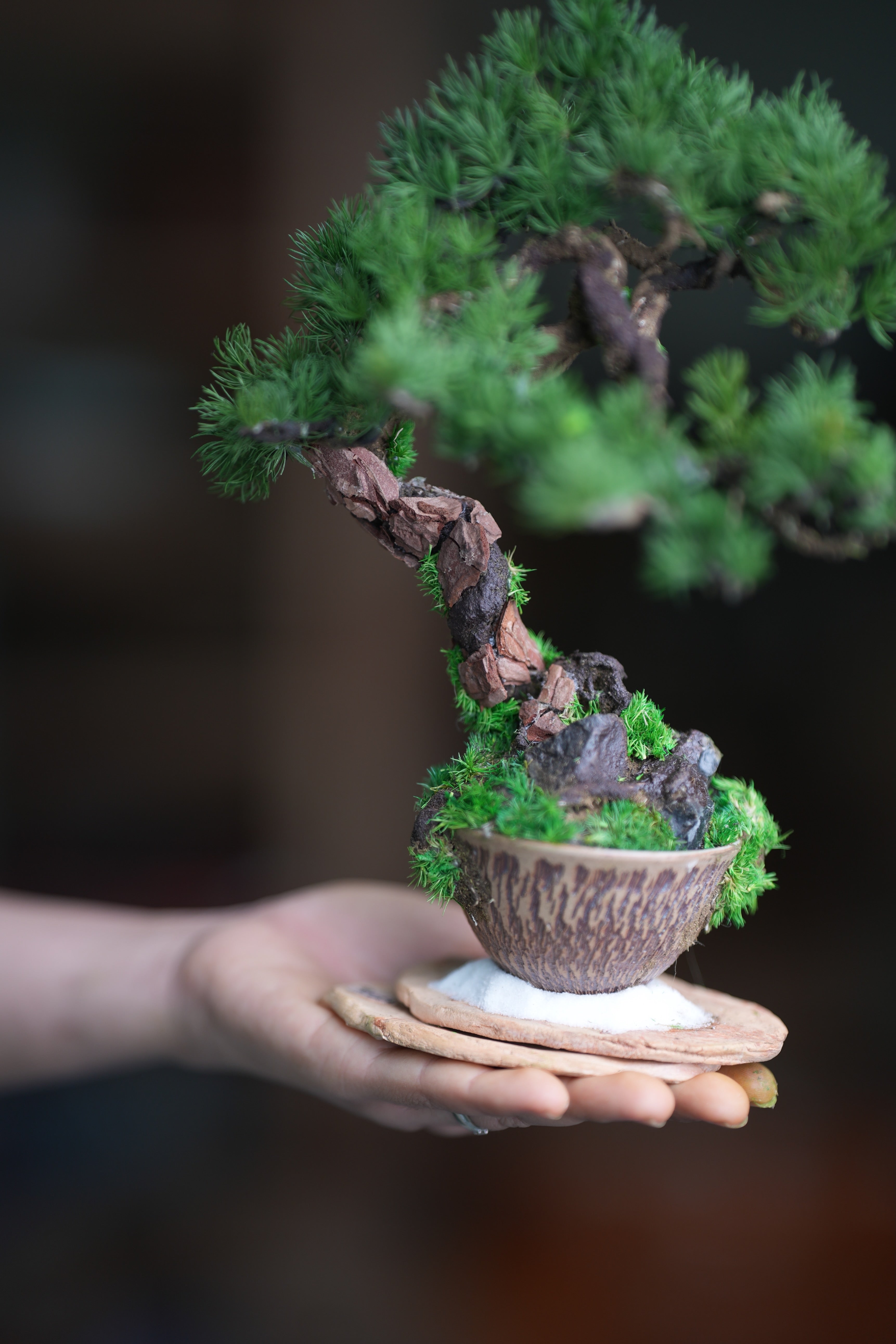Iron Song of the Earth (Preserved Plant + Metal Craft)