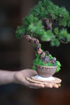 Iron Song of the Earth (Preserved Plant + Metal Craft)