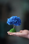 A Small Tree in the East - Purple Dream (Preserved Plants)