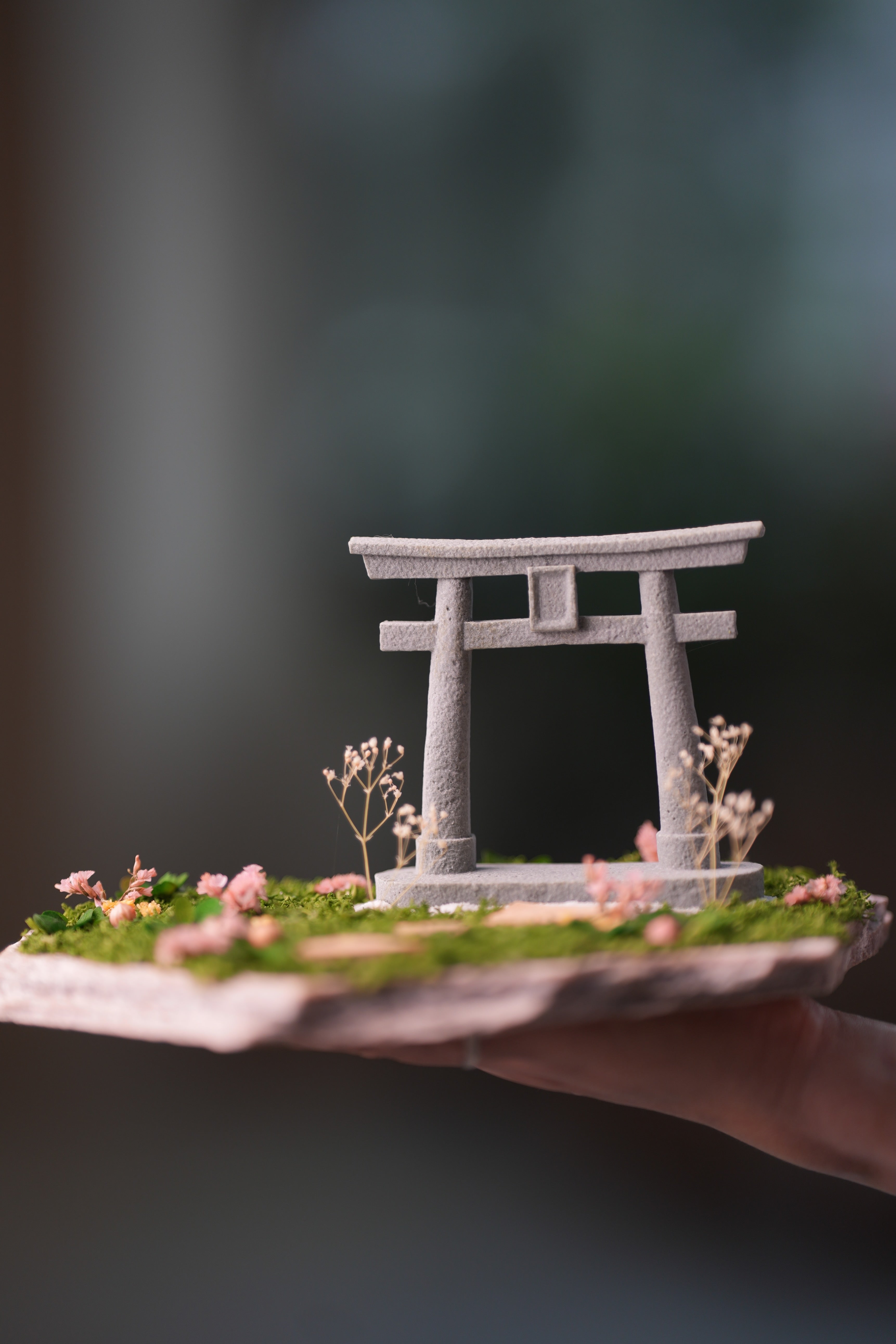 A Path in the East - Spring (Preserved Plants)