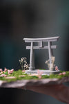 A Path in the East - Spring (Preserved Plants)
