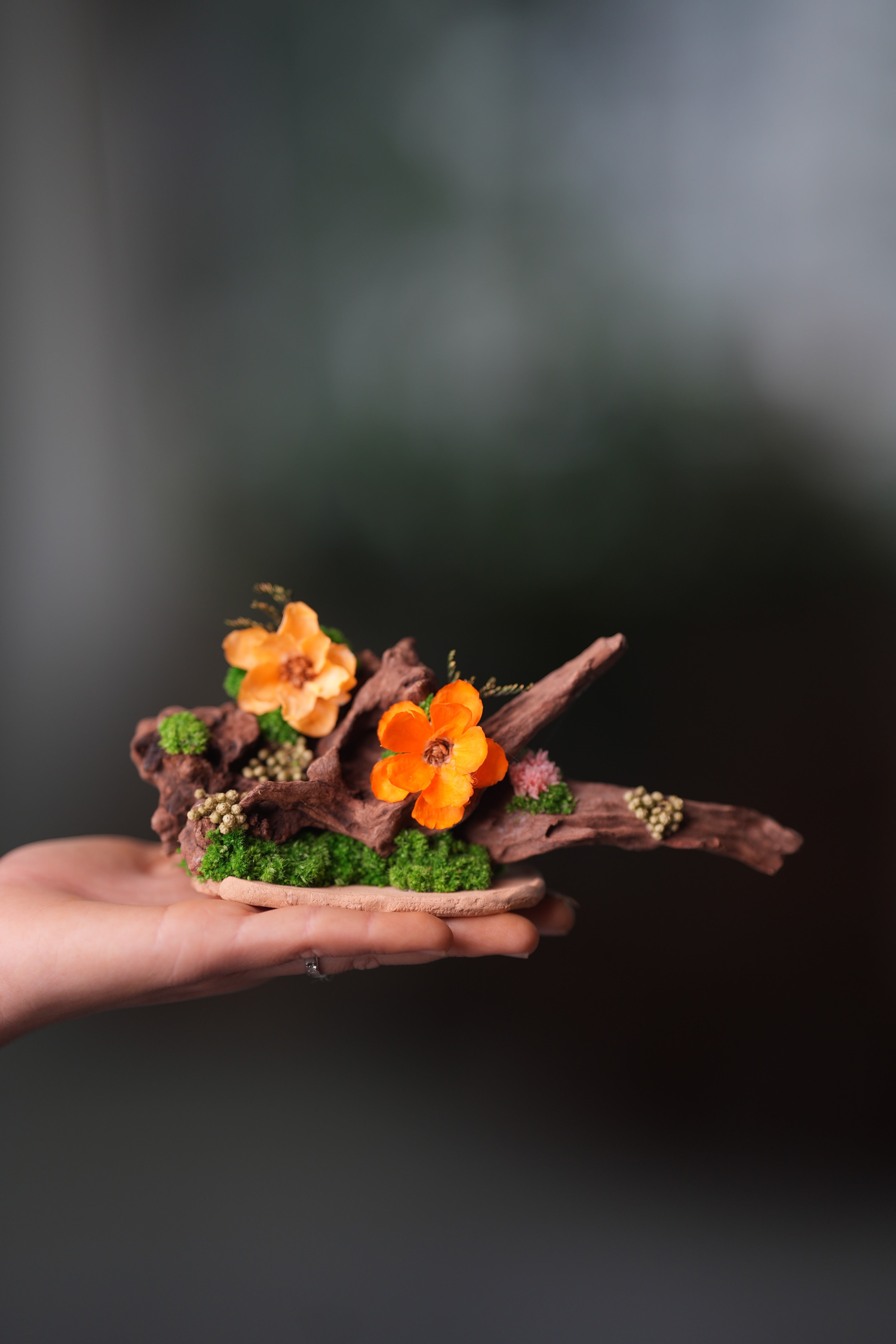 Children of the Forest - Driftwood (Preserved Plants)
