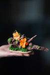 Children of the Forest - Driftwood (Preserved Plants)