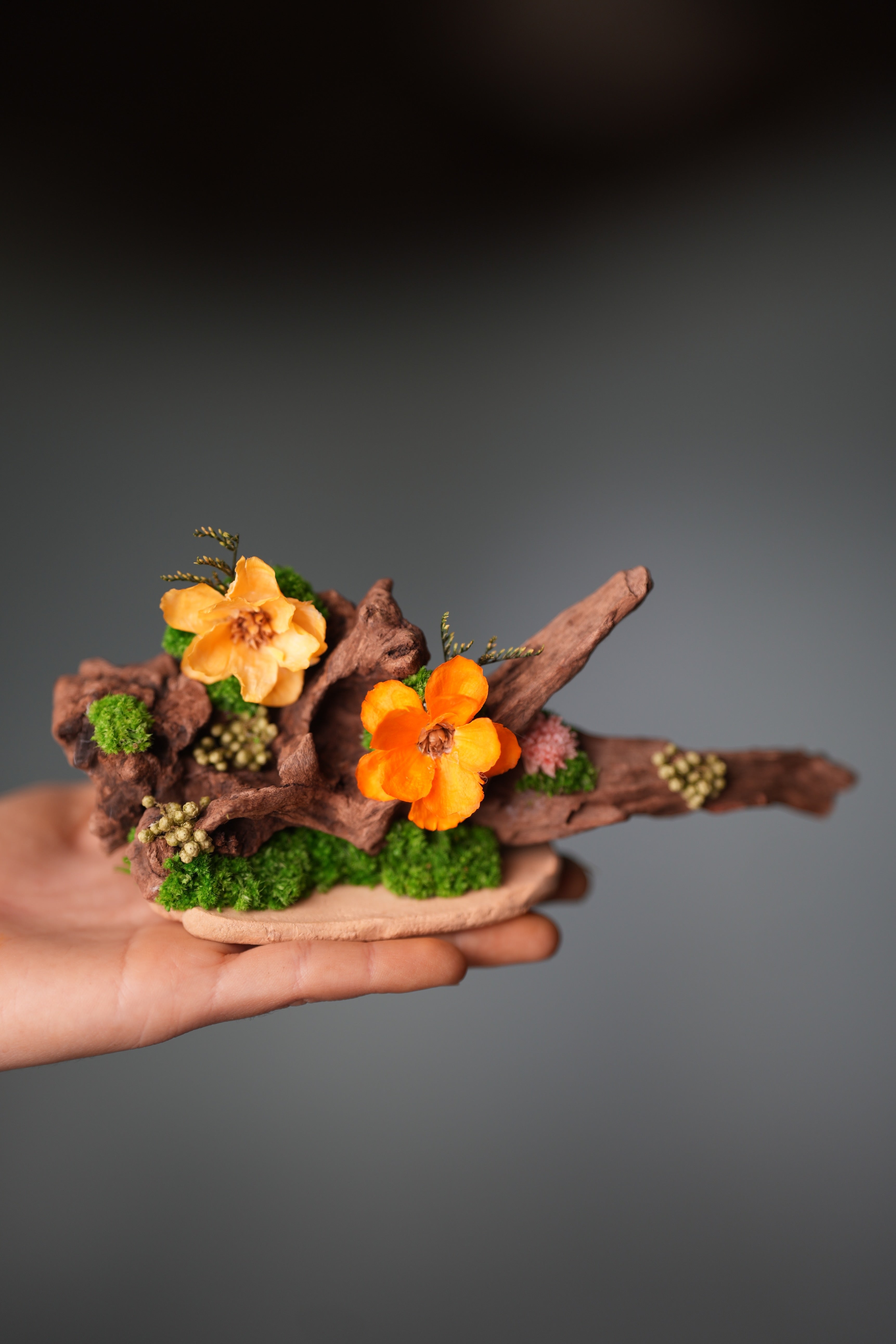 Children of the Forest - Driftwood (Preserved Plants)