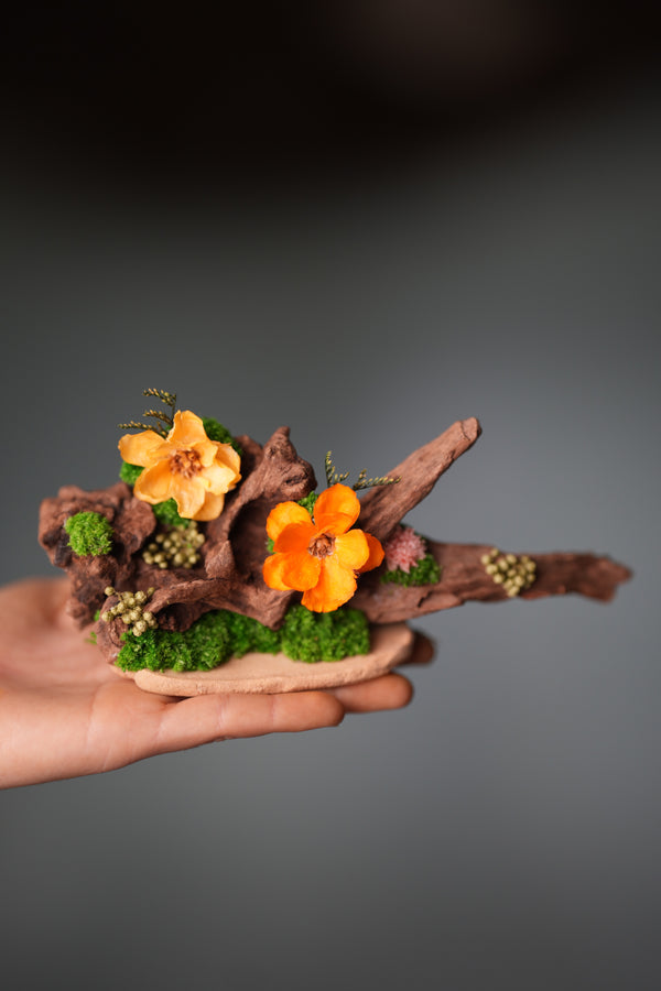 Children of the Forest - Driftwood (Preserved Plants)