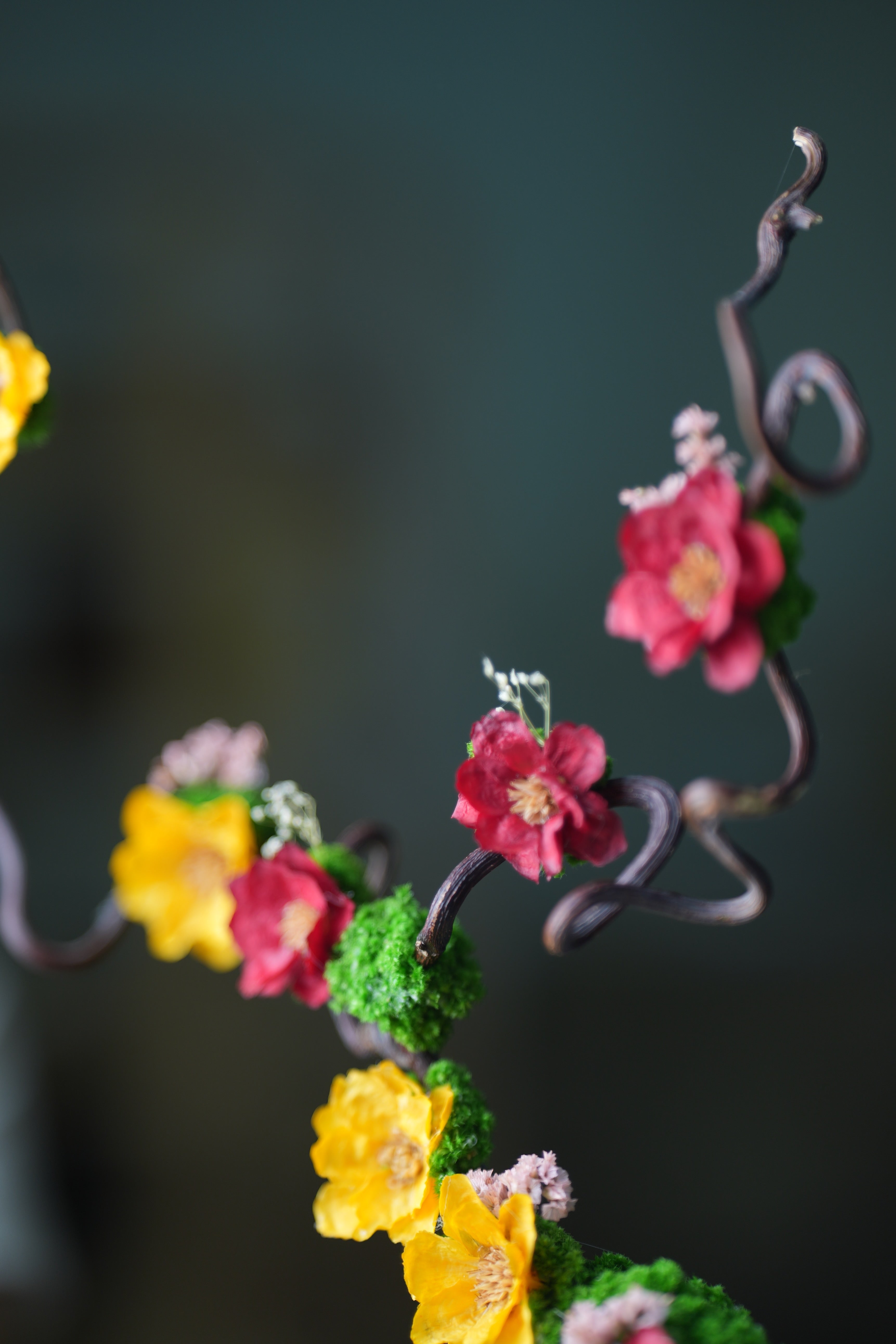Children of the Forest - Vibrant (Preserved Plants)