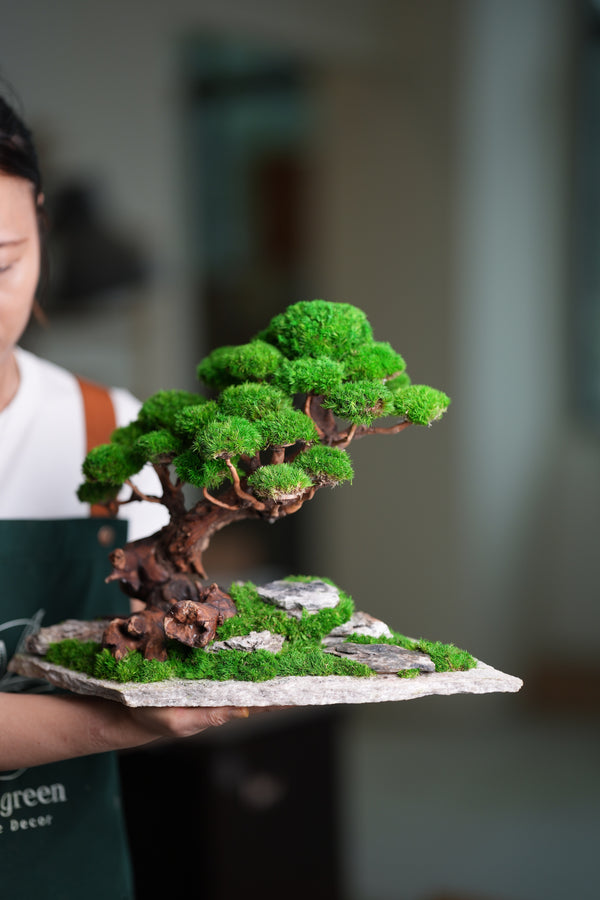 Greenwood - Maverick - Garden edition (Preserved Plants)