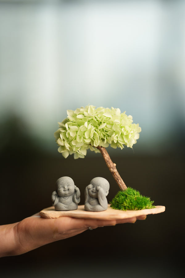 A Small Tree in the East - Early Spring - Duo of No Evil (Preserved Plants)