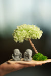 A Small Tree in the East - Early Spring - Duo of No Evil (Preserved Plants)