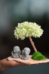 A Small Tree in the East - Early Spring - Duo of No Evil (Preserved Plants)