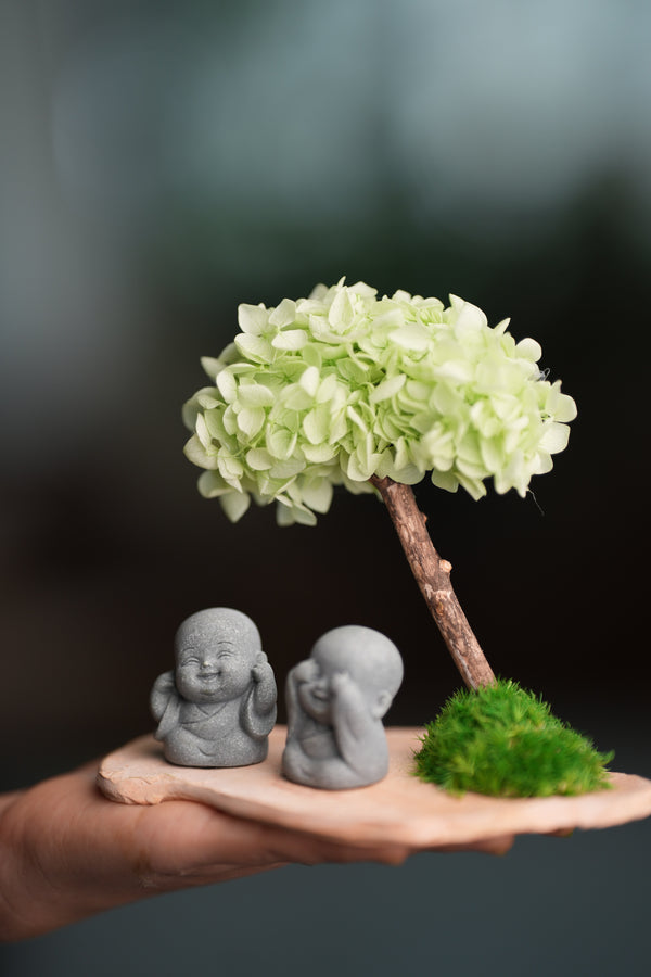 A Small Tree in the East - Early Spring - Duo of No Evil (Preserved Plants)