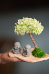 A Small Tree in the East - Early Spring - Duo of No Evil (Preserved Plants)