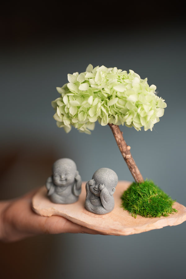 A Small Tree in the East - Early Spring - Duo of No Evil (Preserved Plants)