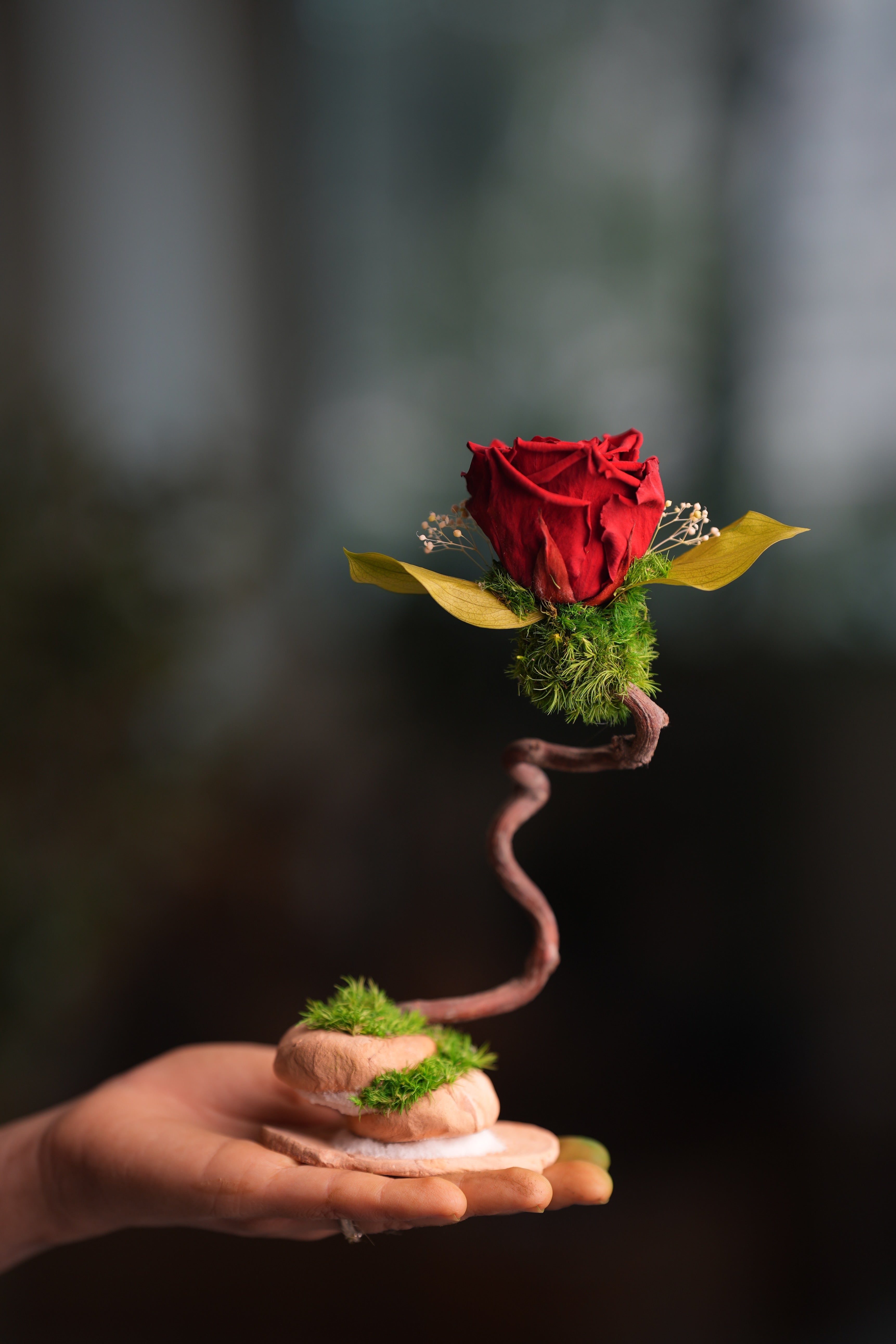 Children of the Forest - Jupiter (Preserved Plants)