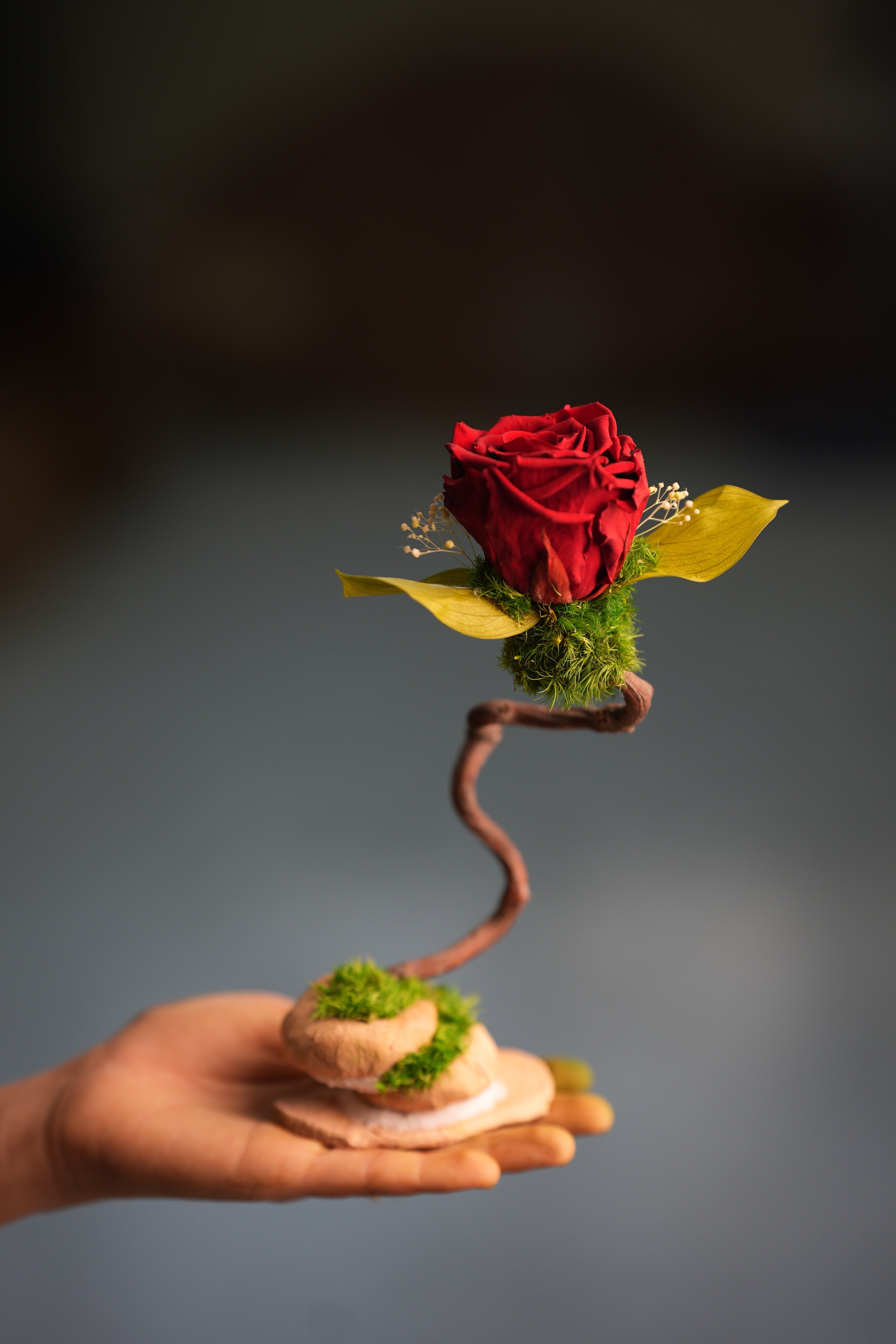 Children of the Forest - Jupiter (Preserved Plants)