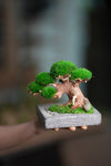 Slow Wood - Young - Anchor Square edition (Preserved Plants)