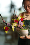 Children of the Forest - Wings - Larger (Preserved Plants)