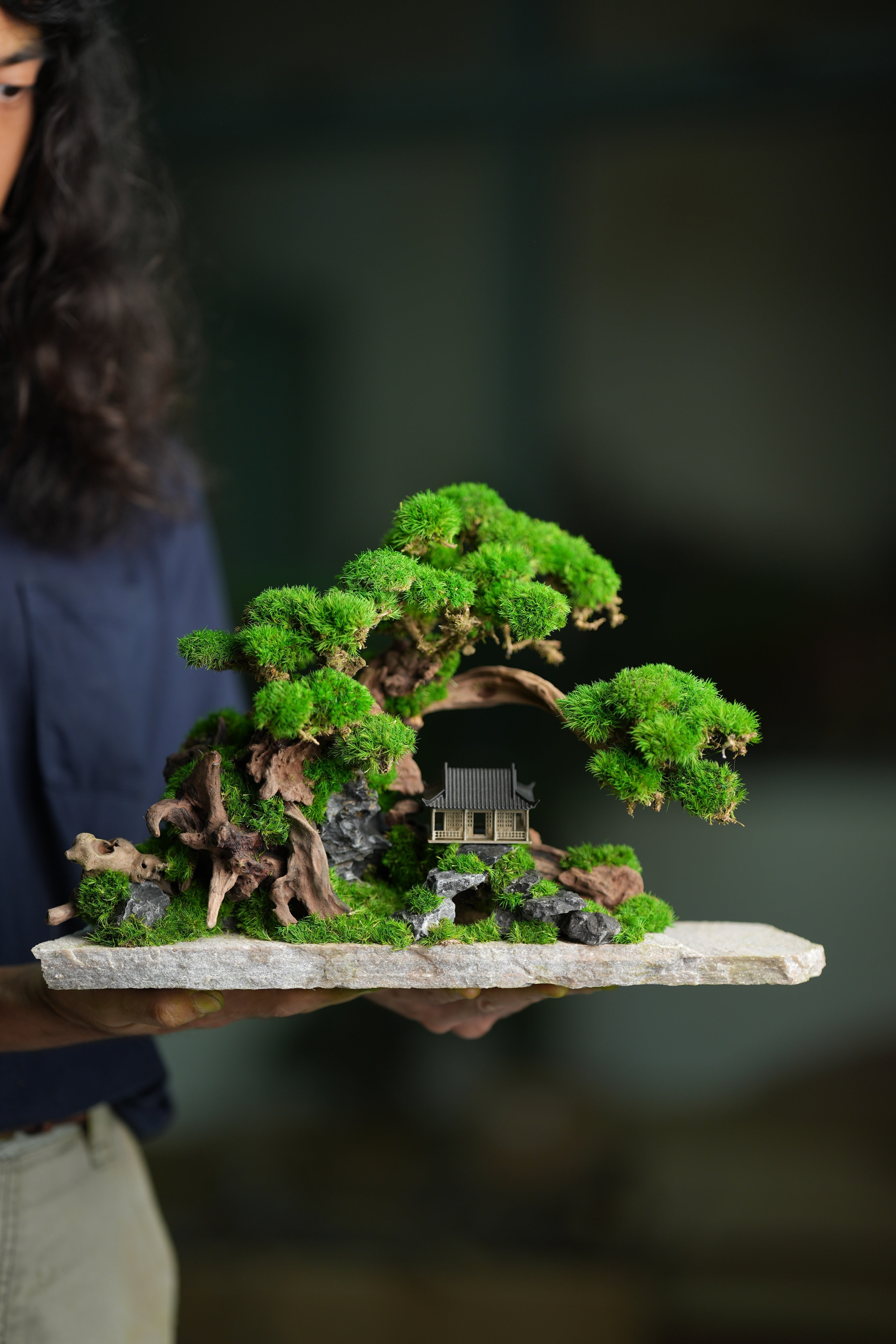 Greenwood - A Path in the East (Preserved Plants)