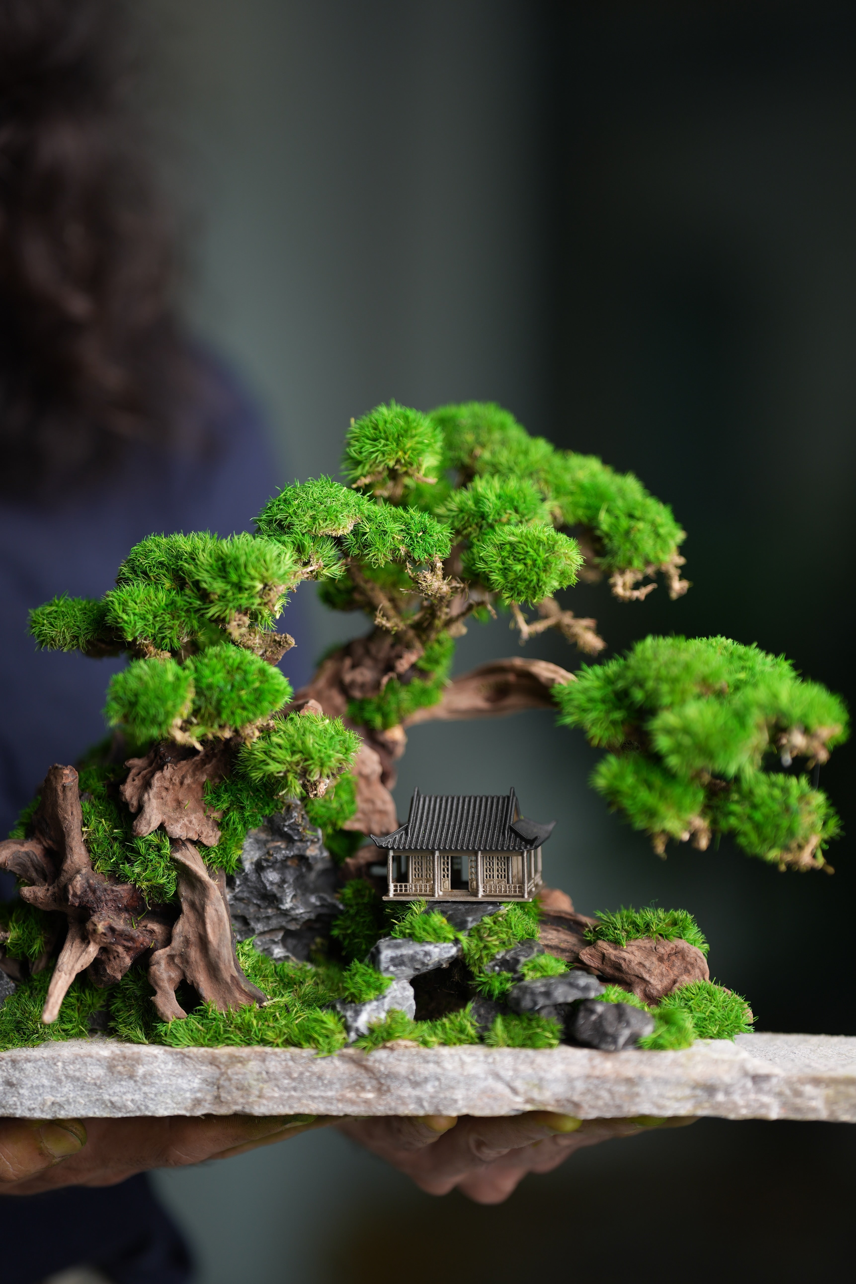 Greenwood - A Path in the East (Preserved Plants)